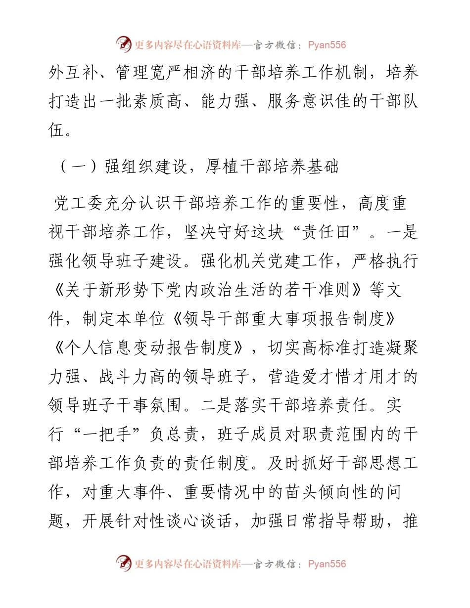 党工委关于选人用人专项工作的报告.docx_第2页