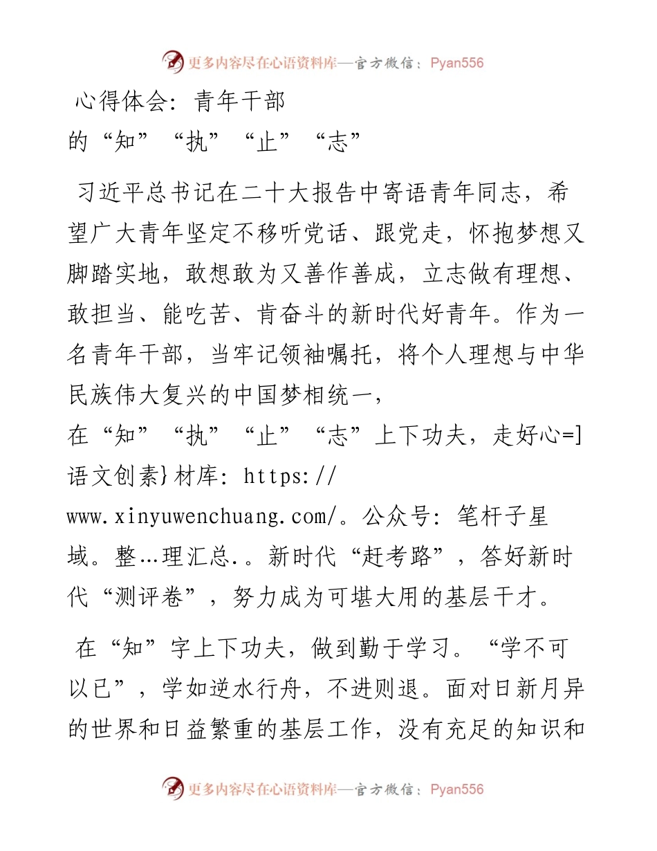 二十大心得：青年干部的“知”“执”“止”“志”.docx_第1页