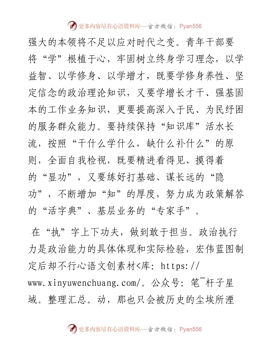 二十大心得：青年干部的“知”“执”“止”“志”.docx_第2页