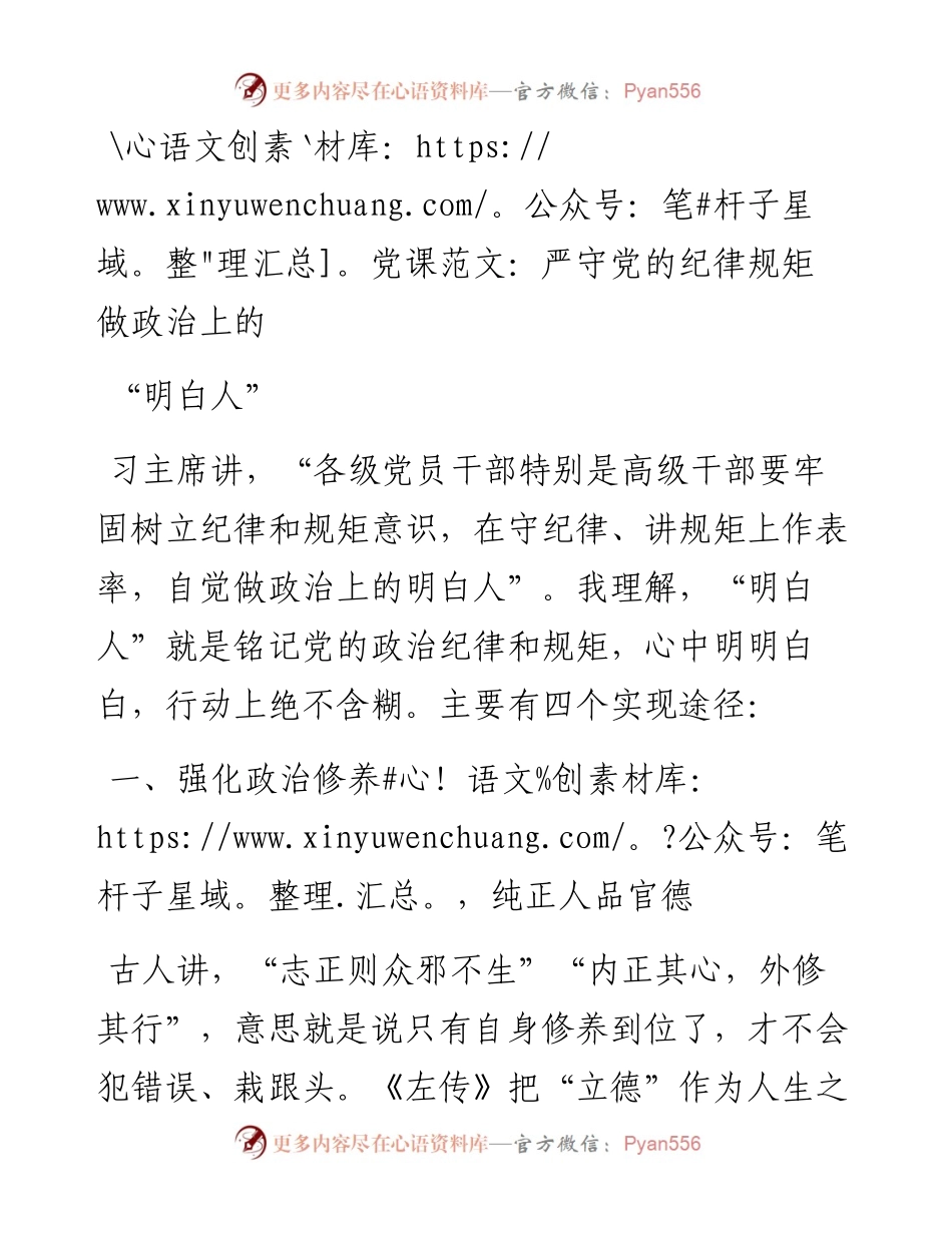 党课范文：严守党的纪律规矩 做政治上的“明白人”.docx_第1页