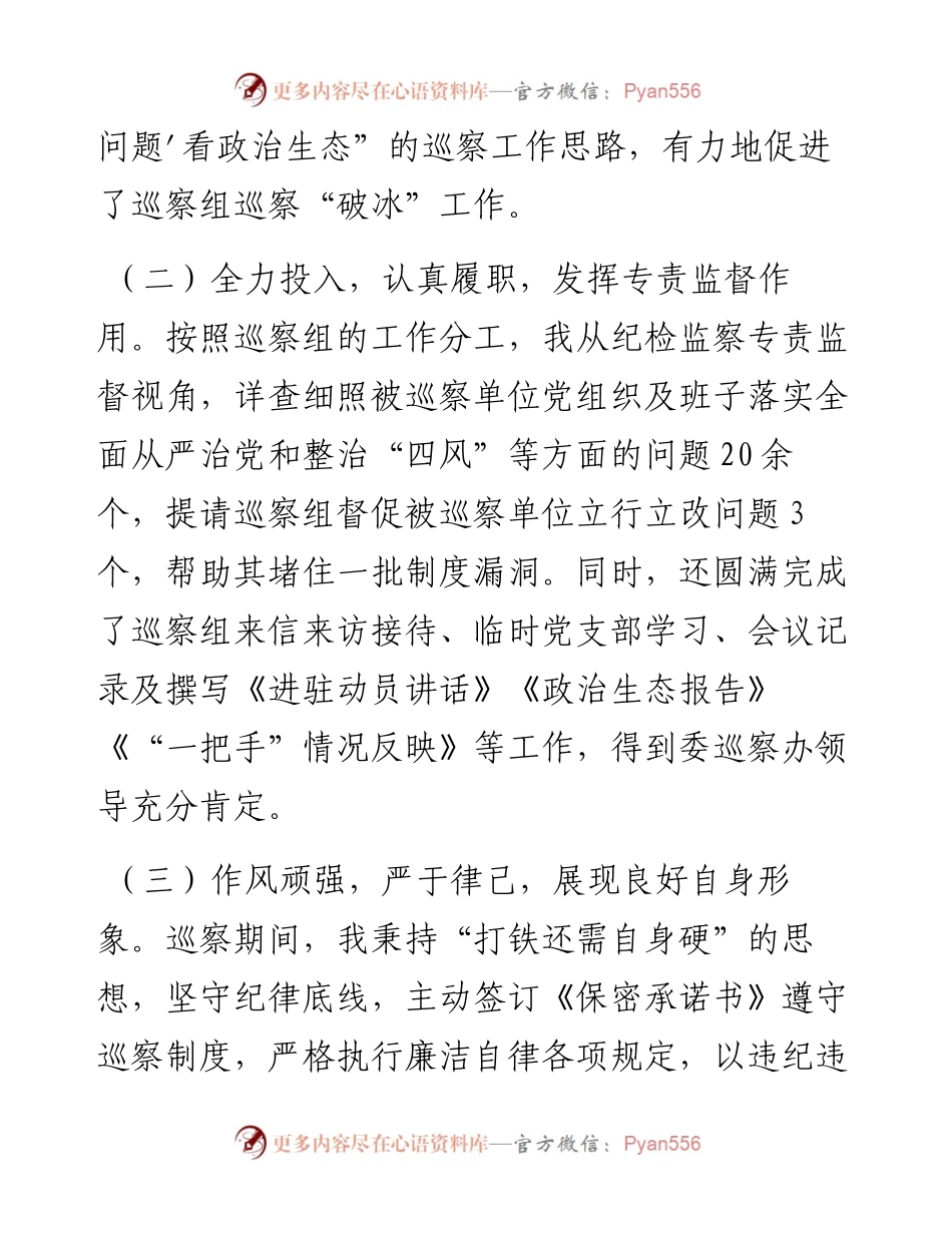 借调参加巡察工作总结.docx_第2页