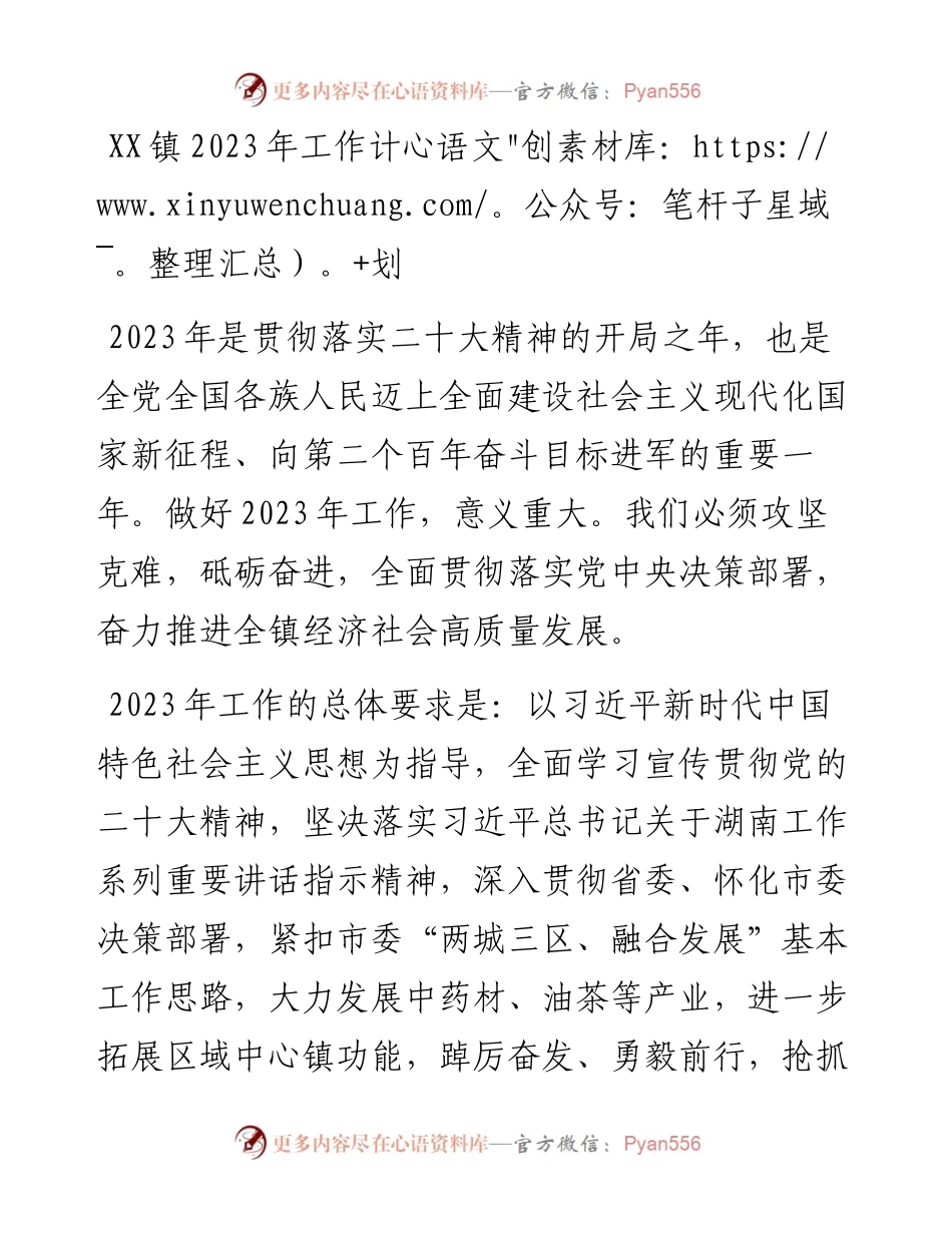 乡镇2023年工作计划.docx_第1页
