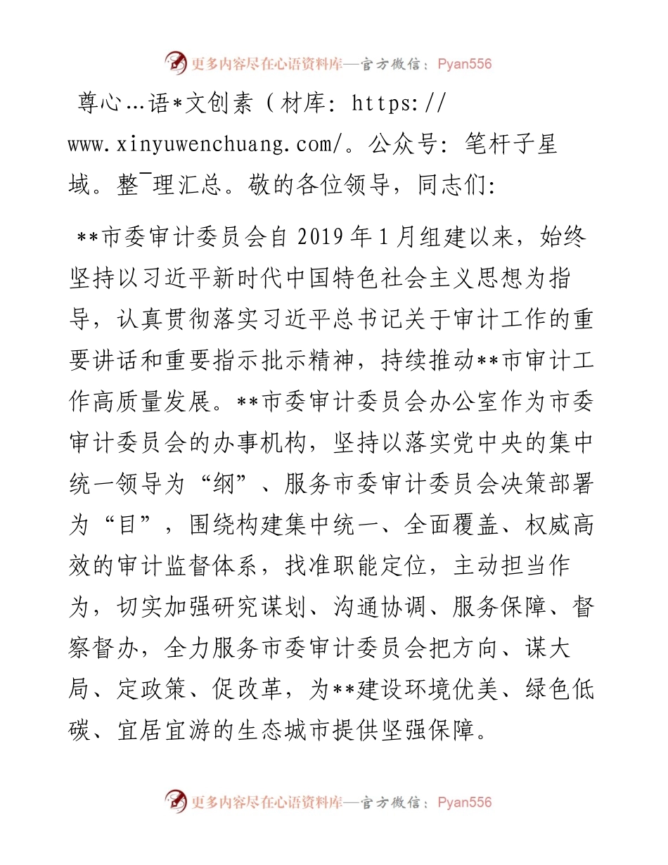 交流发言：坚持和加强党的全面领导 奋力开创新时代审计工作新局面.docx_第1页