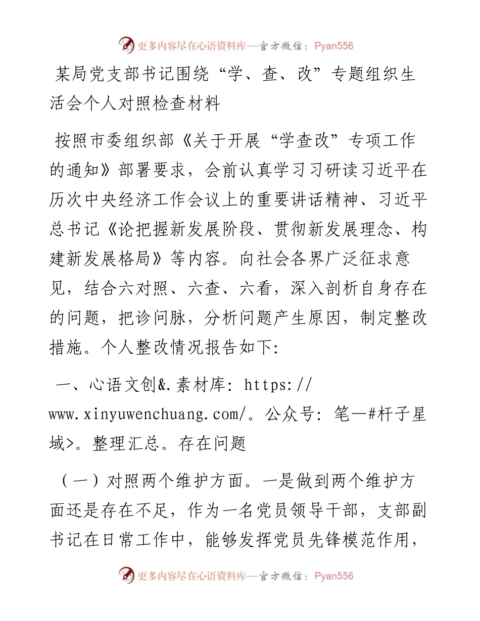 党支部书记围绕“学查改”专题组织生活会个人对照检查材料.docx_第1页