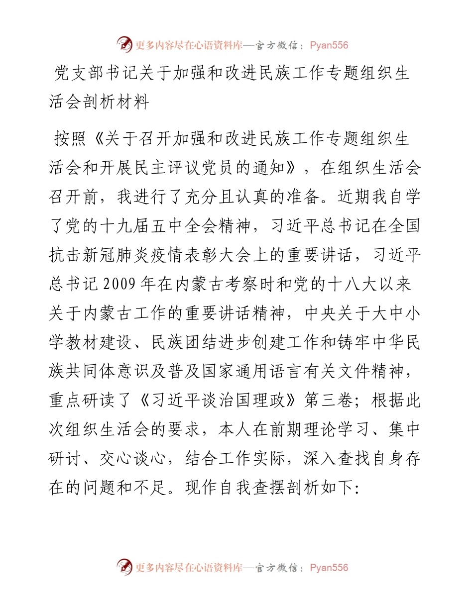 党支部书记关于加强和改进民族工作专题组织生活会剖析材料.docx_第1页