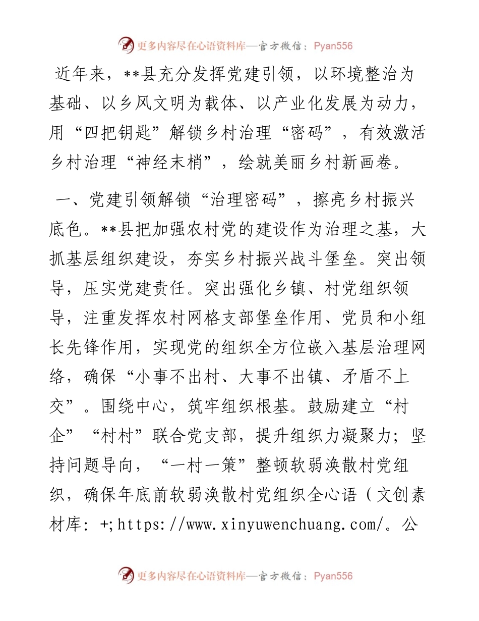 乡村治理经验交流发言.docx_第1页