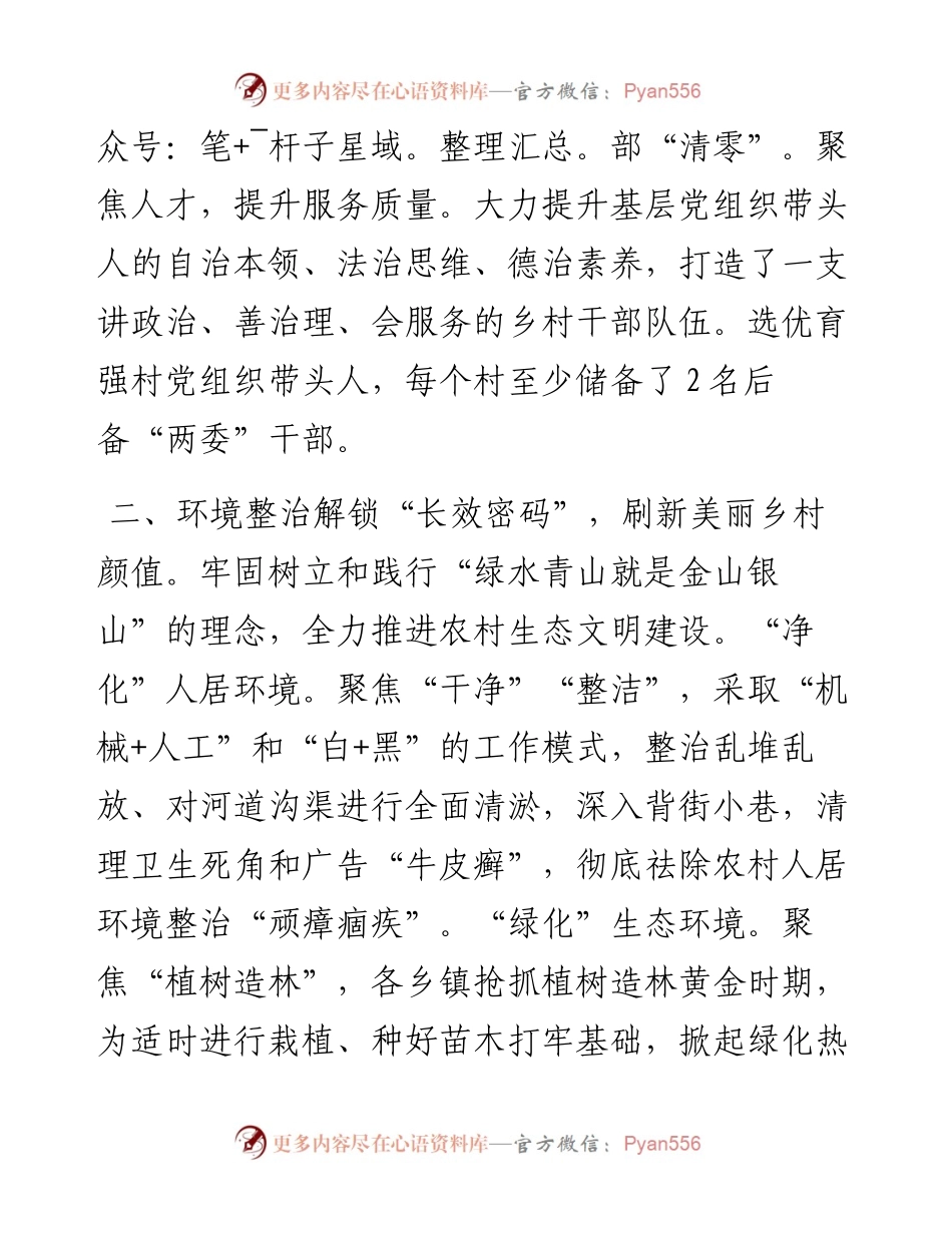 乡村治理经验交流发言.docx_第2页