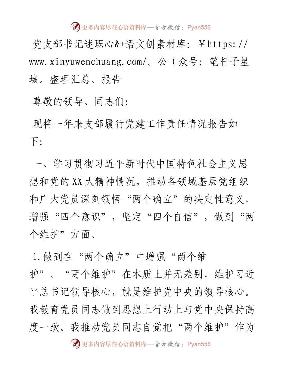 党支部书记述职报告.docx_第1页