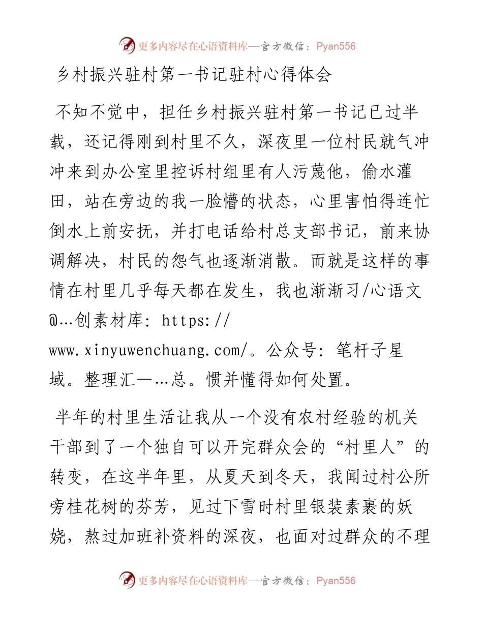 乡村振兴驻村第一书记驻村心得体会.docx_第1页