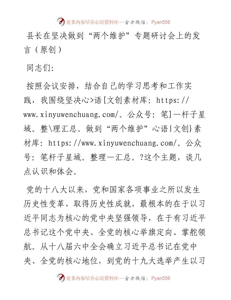 主题教育：县长在坚决做到“两个维护”专题研讨会上的发言.docx_第1页