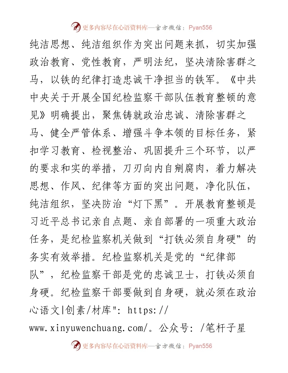 主题党课讲稿：纪委书记2023年纪检监察干部队伍教育整顿.docx_第2页