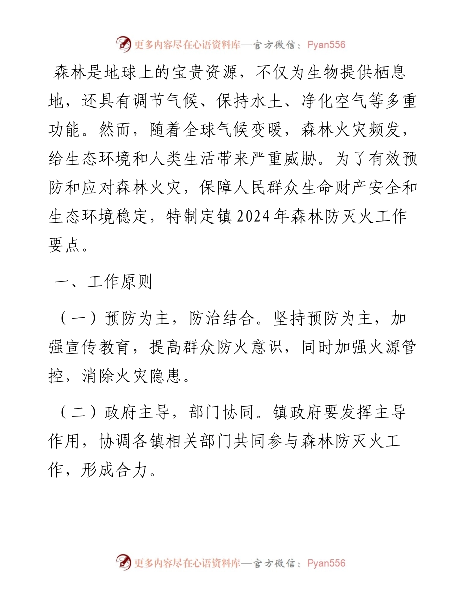 乡镇2024年森林防灭火工作要点.docx_第1页
