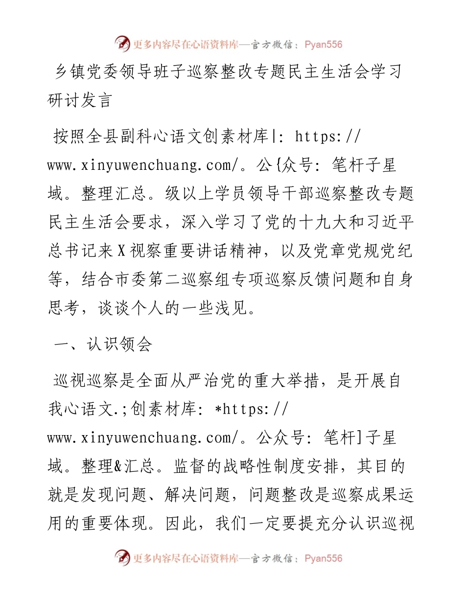 乡镇党委领导班子巡察整改专题民主生活会学习研讨发言.docx_第1页