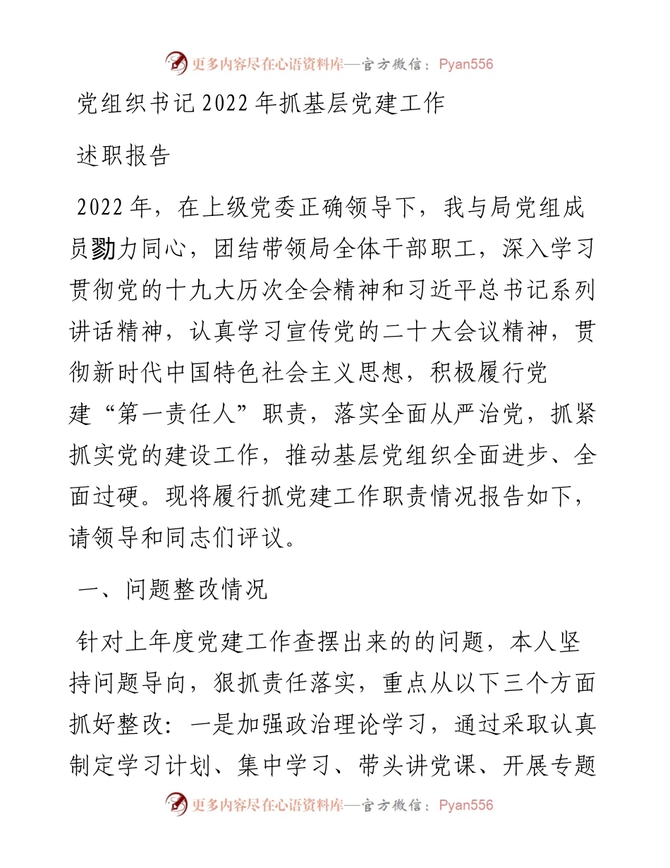 党组织书记抓基层党建工作述职报告.docx_第1页