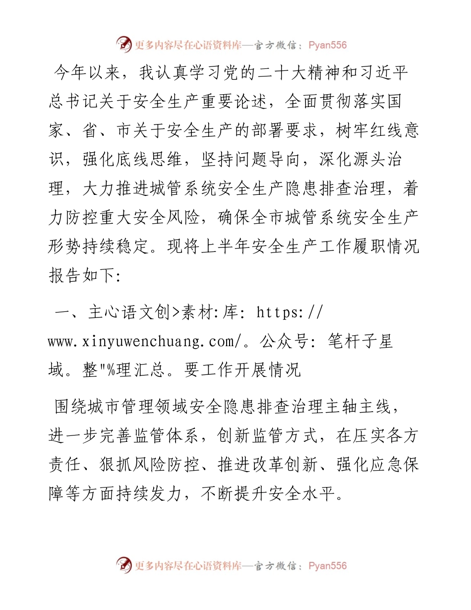 党员干部2024年上半年安全生产述职报告.docx_第1页