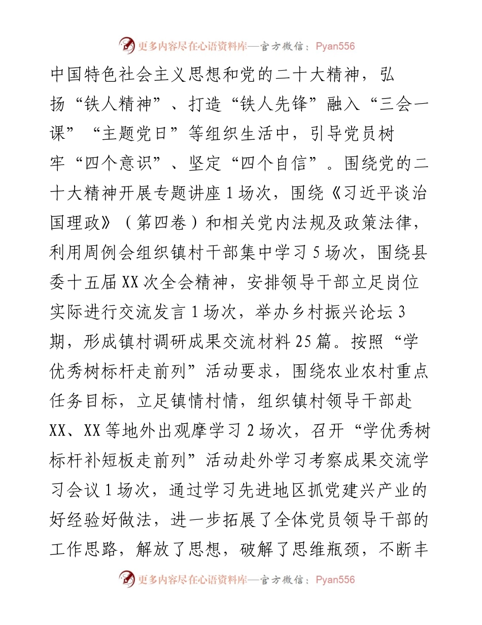乡、镇党委书记抓党建工作述职报告.docx_第2页