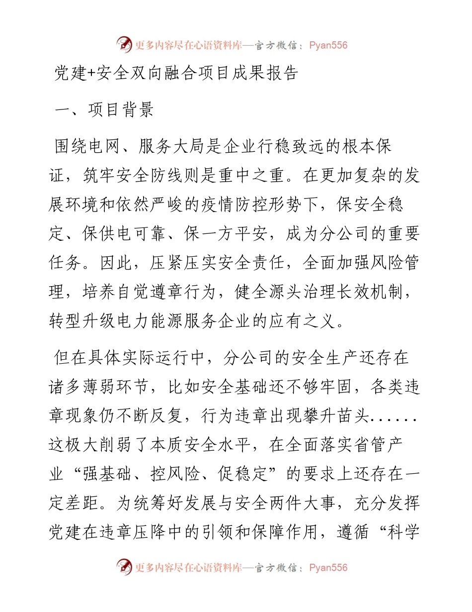党建+安全双向融合项目成果报告.docx_第1页