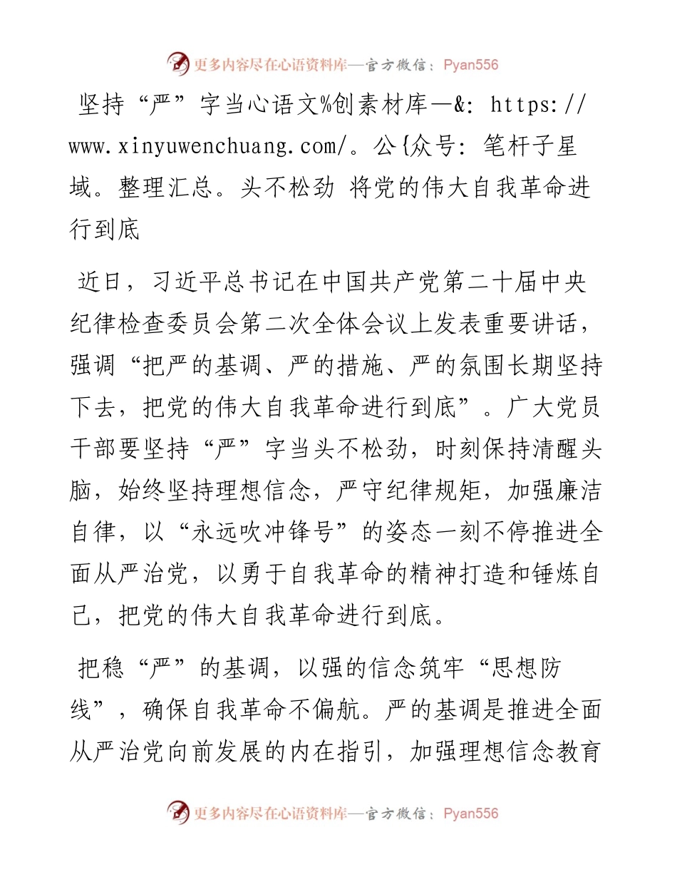 二十届中央纪委二次全会研讨发言：坚持“严”字当头不松劲 将党的伟大自我革命进行到底.docx_第1页