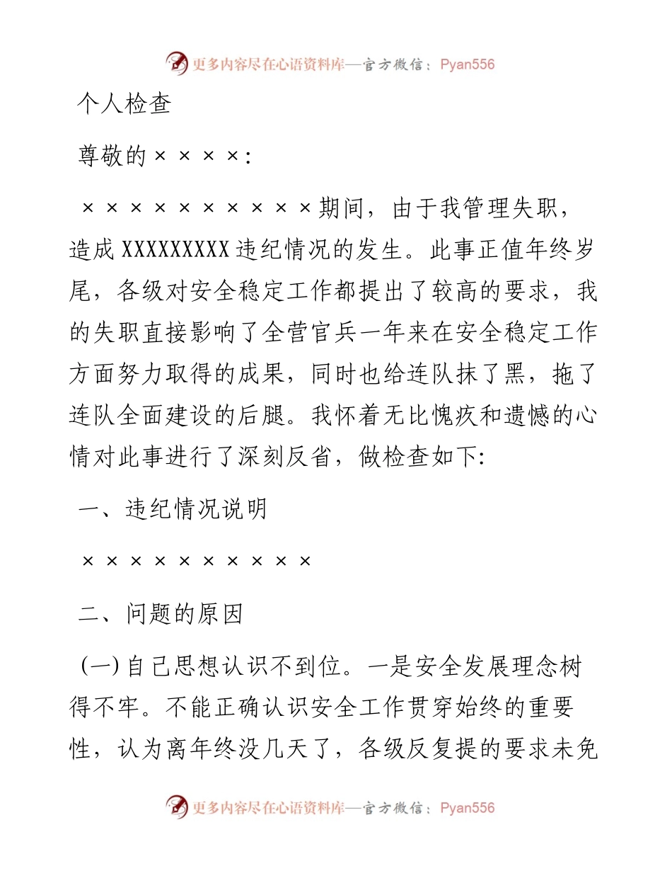个人检查（二十七）.docx_第1页