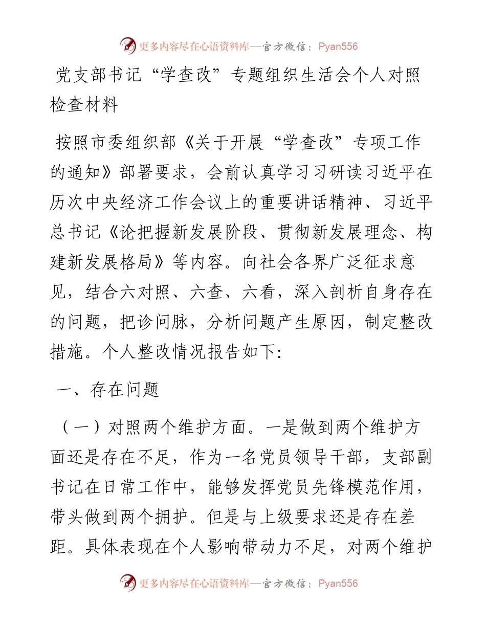 党支部书记“学查改”专题组织生活会个人对照检查材料.docx_第1页