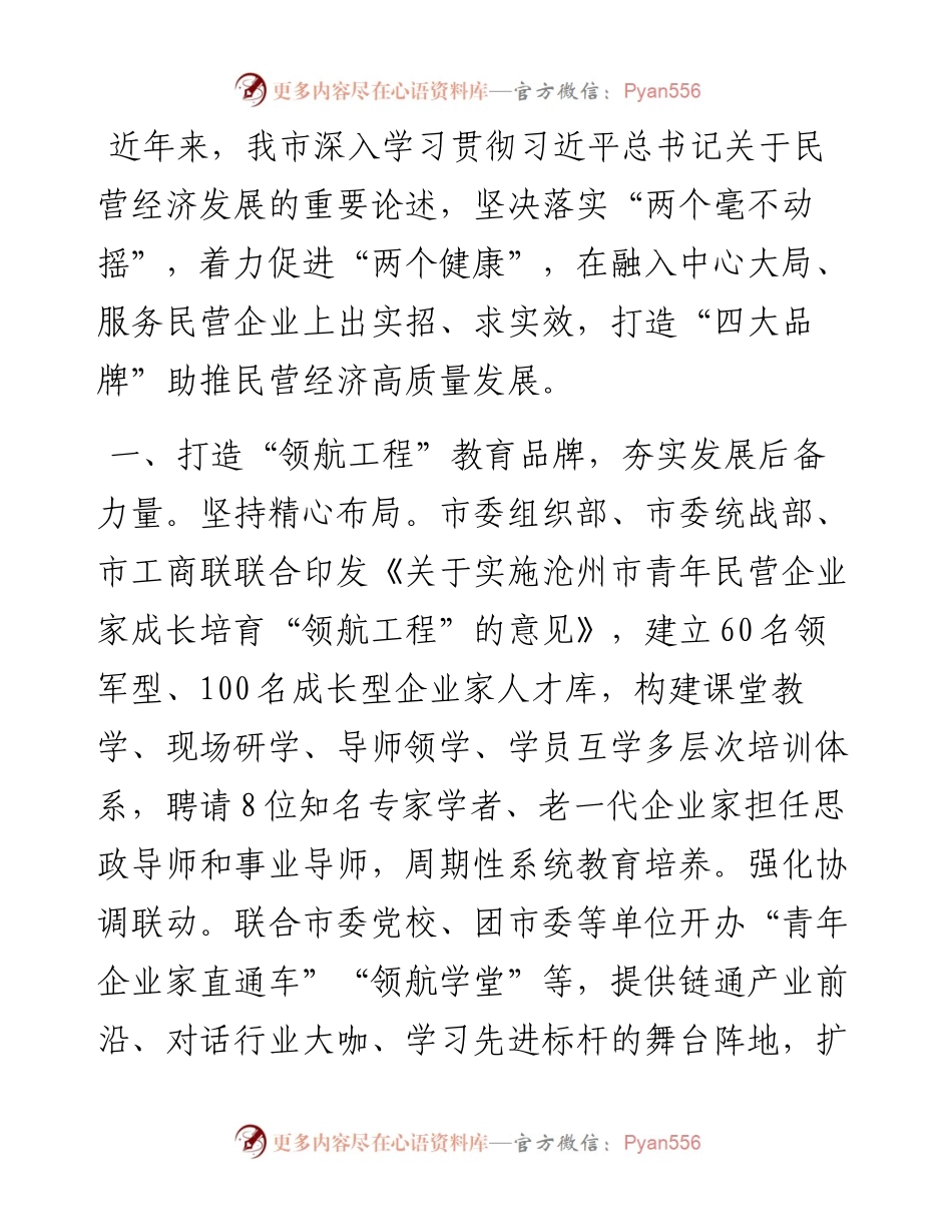 交流发言：打造“四大品牌”助推民营经济高质量发展.docx_第1页