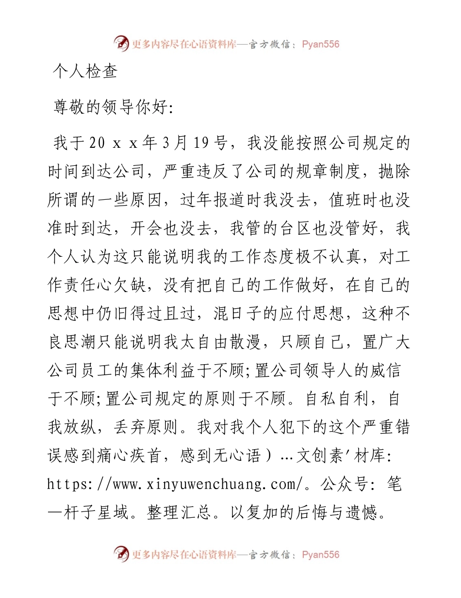 个人检查（十九）.docx_第1页