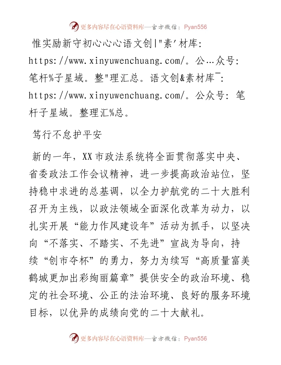 二十大访谈--惟实励新守初心笃行不怠护平安.docx_第1页