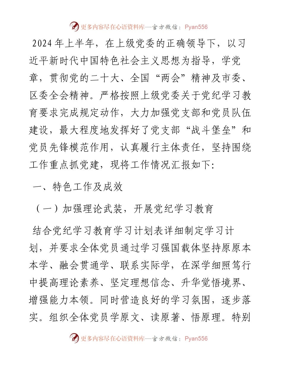 党支部书记2024年上半年党建述职报告.docx_第1页