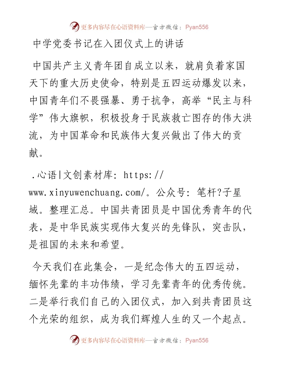 中学党委书记在入团仪式上的讲话.docx_第1页