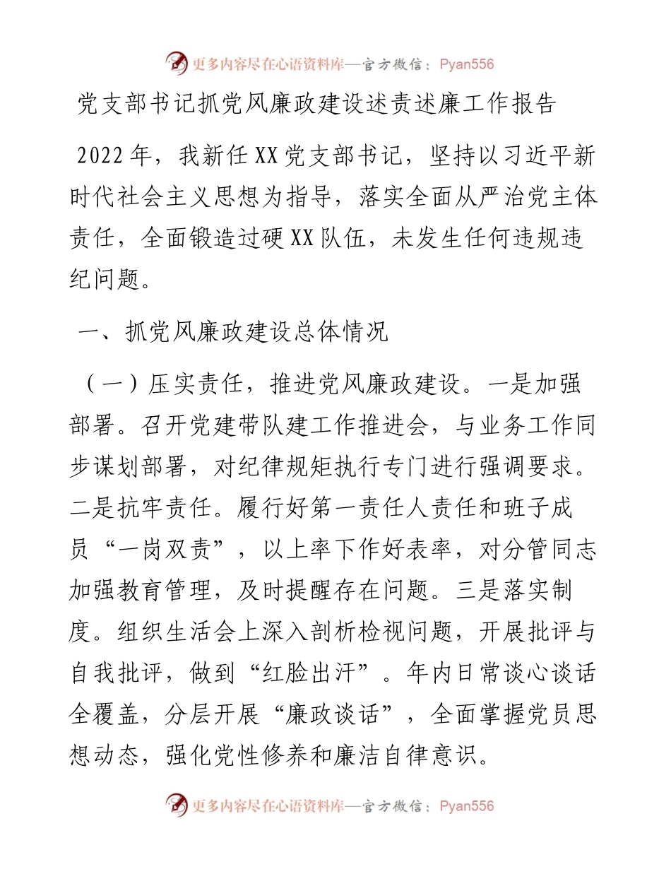 党支部书记抓党风廉政建设述责述廉工作报告.docx_第1页