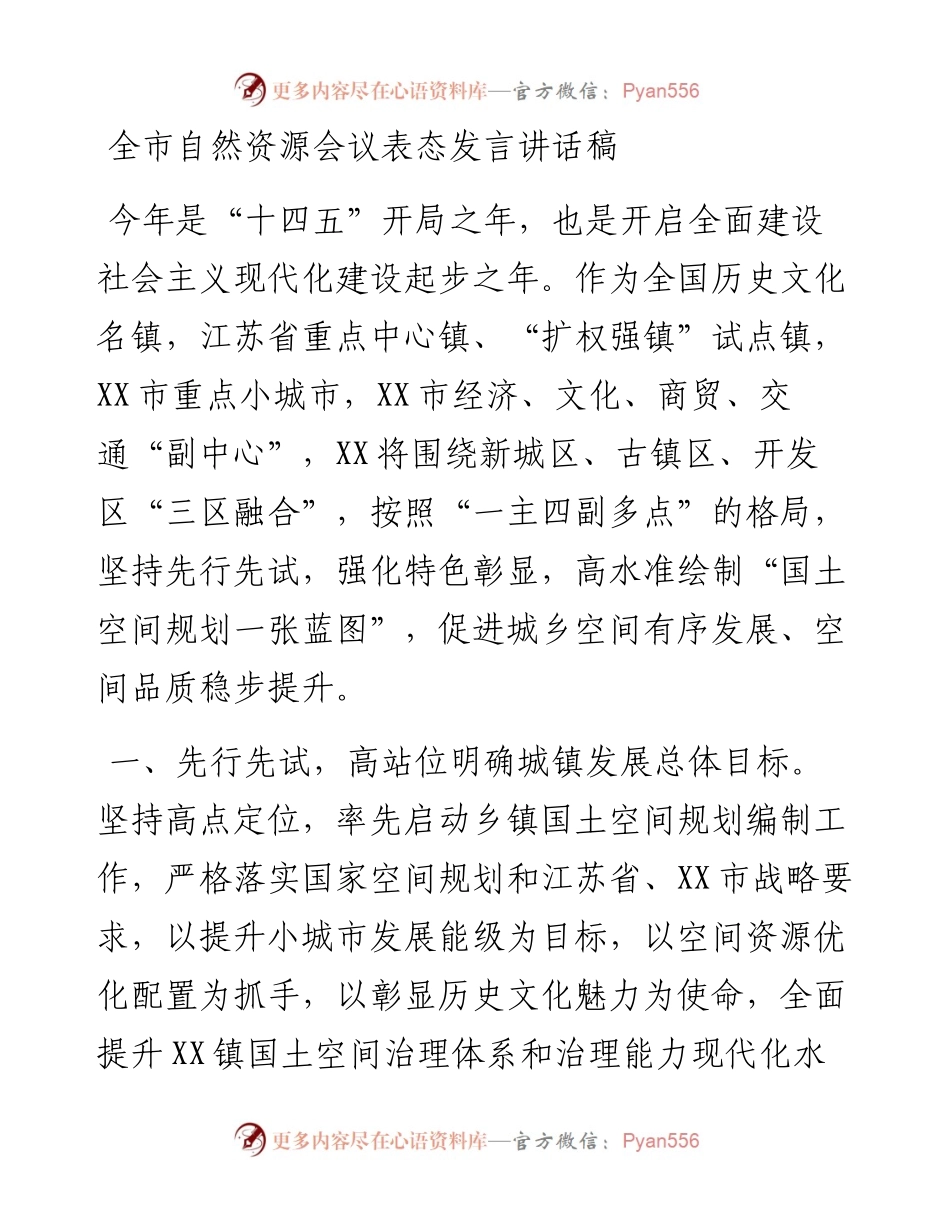 全市自然资源会议表态发言讲话稿.docx_第1页