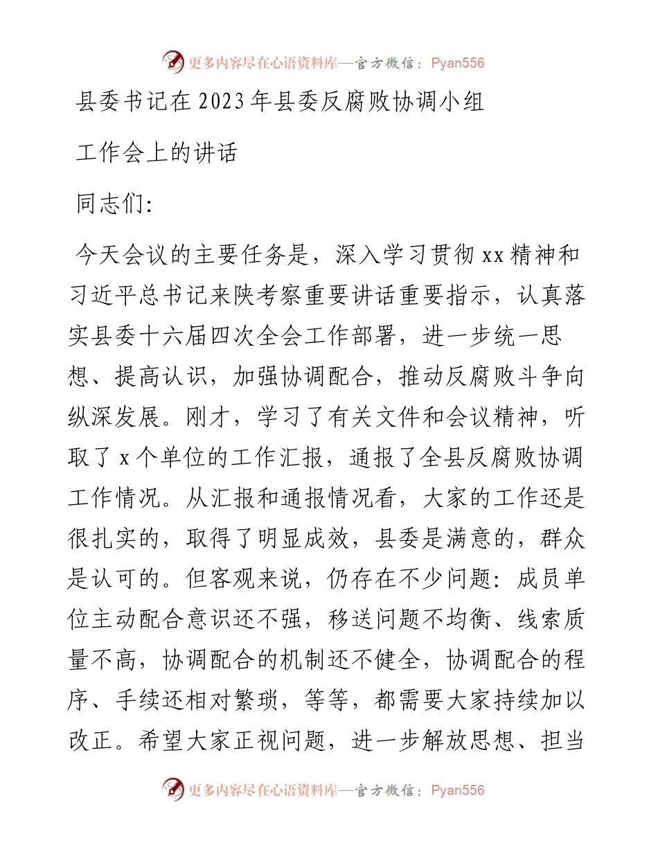 县委书记在2023年县委反腐败协调小组工作会上的讲话.docx_第1页