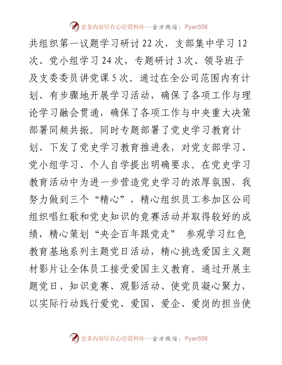 公司党支部书记抓党建工作述职报告.docx_第2页