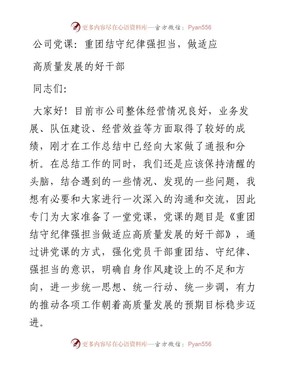 公司党课：重团结守纪律强担当，做适应高质量发展的好干部.docx_第1页