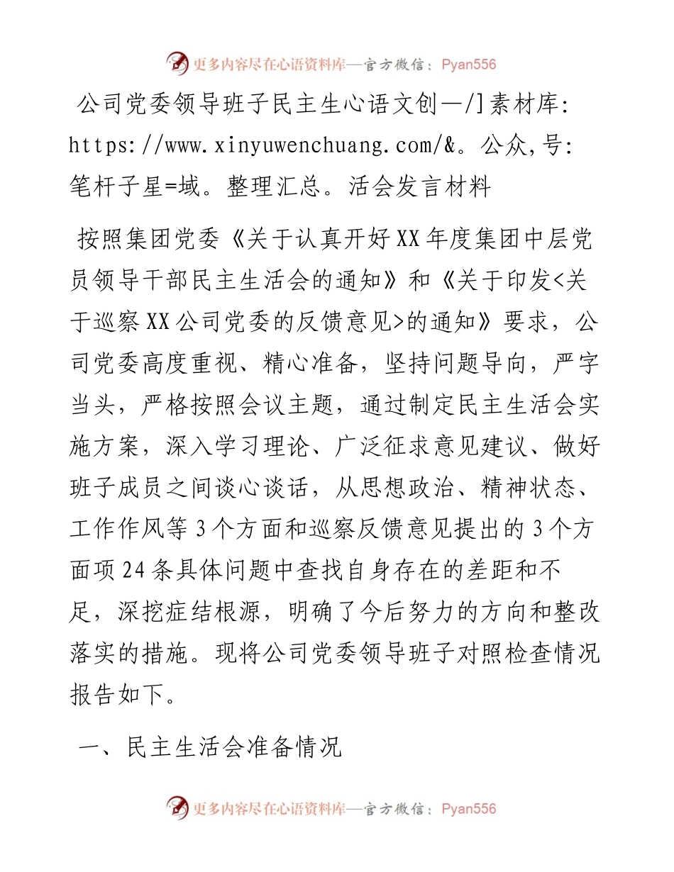公司党委领导班子民主生活会发言材料.docx_第1页