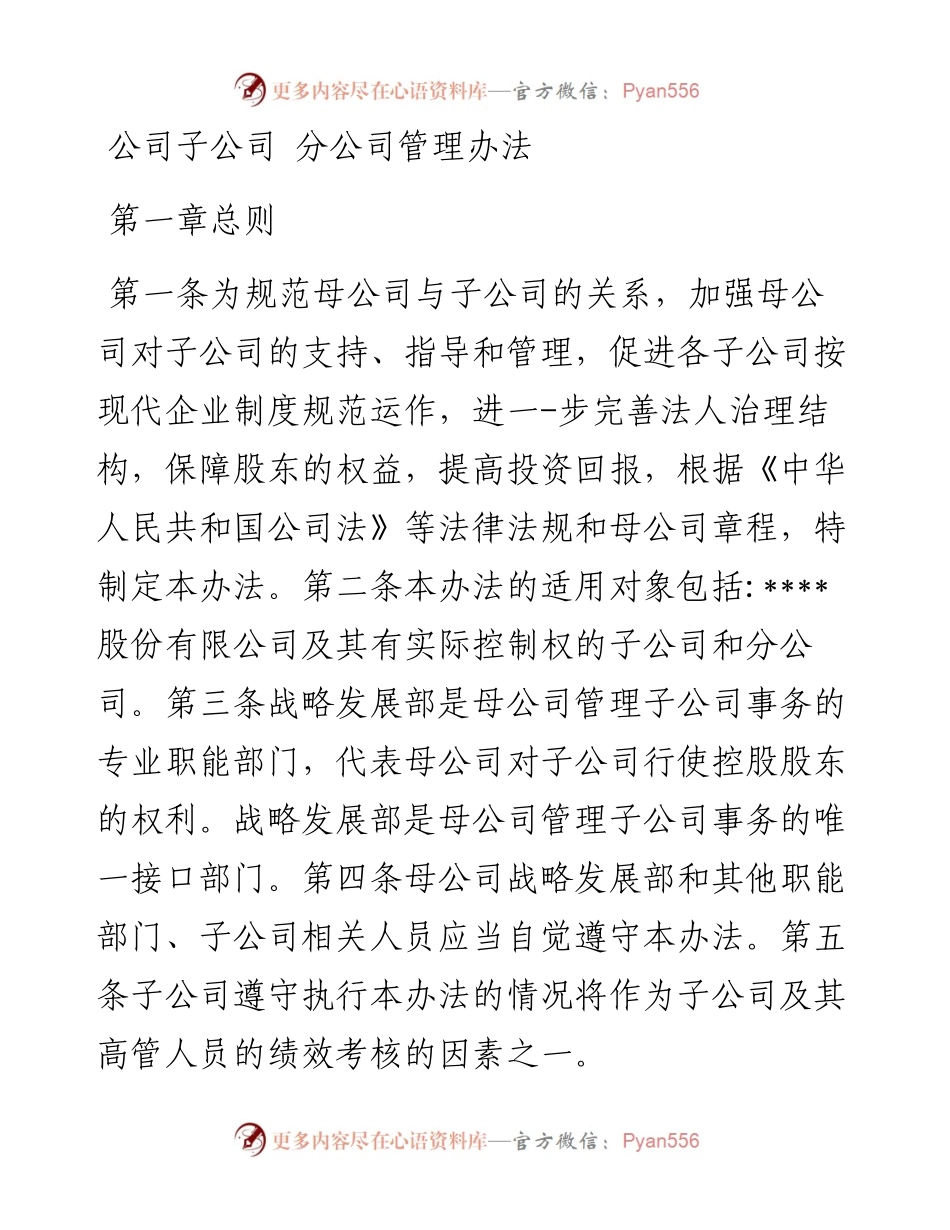公司子公司 分公司管理办法.docx_第1页