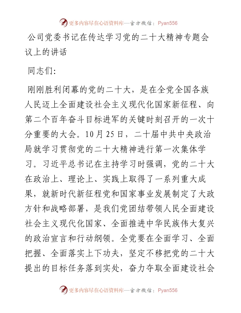 公司党委书记在传达学习党的二十大精神专题会议上的讲话.docx_第1页