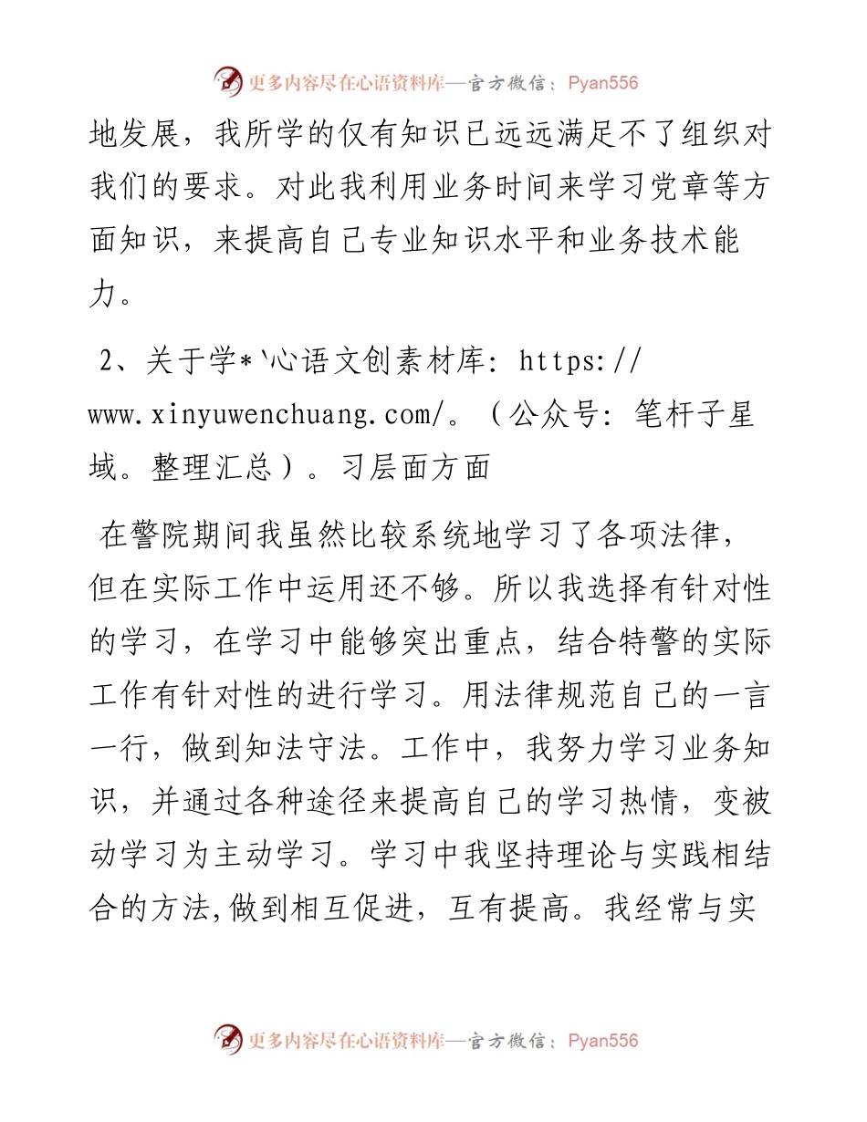 公安年终个人工作总结.docx_第2页
