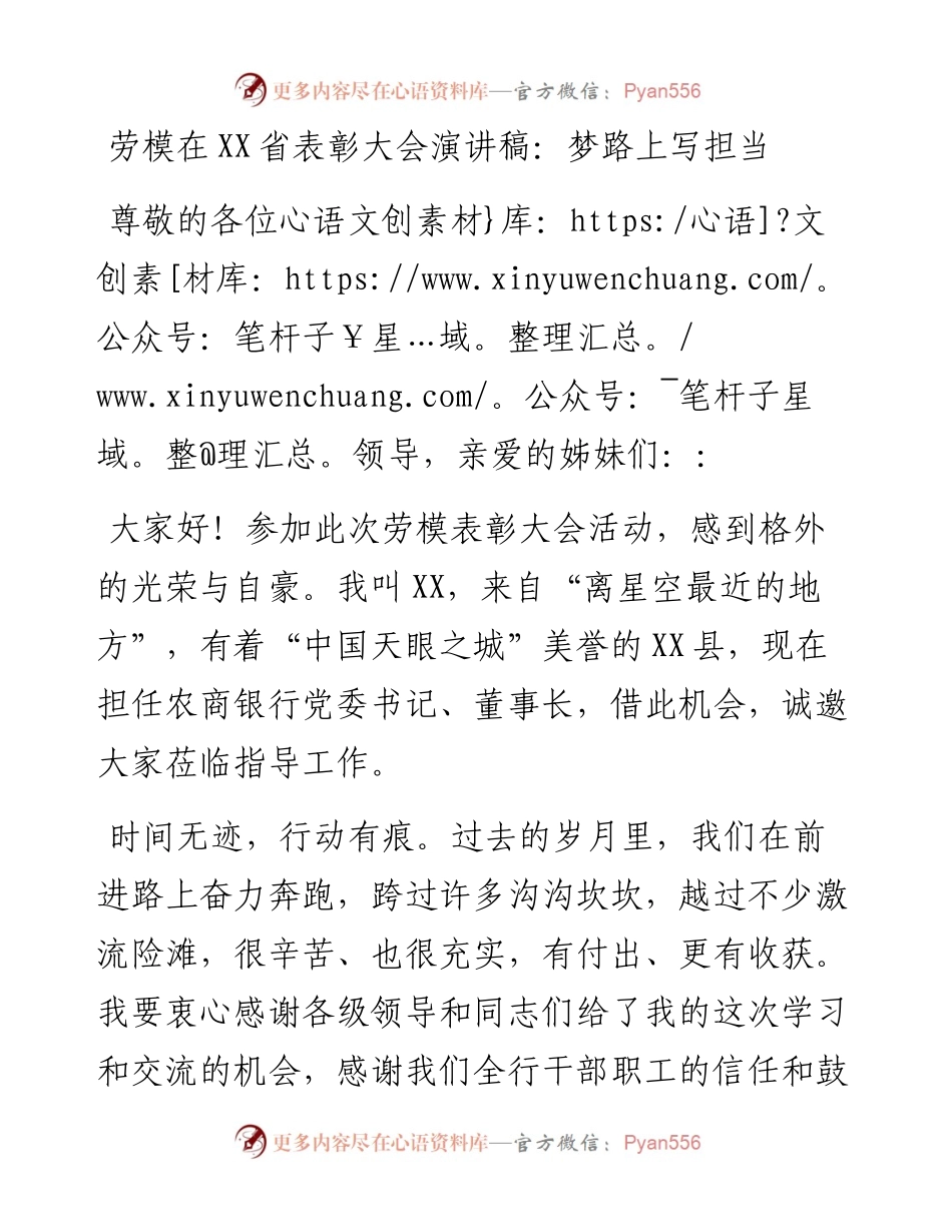 劳模在XX省表彰大会演讲稿：梦路上写担当.docx_第1页