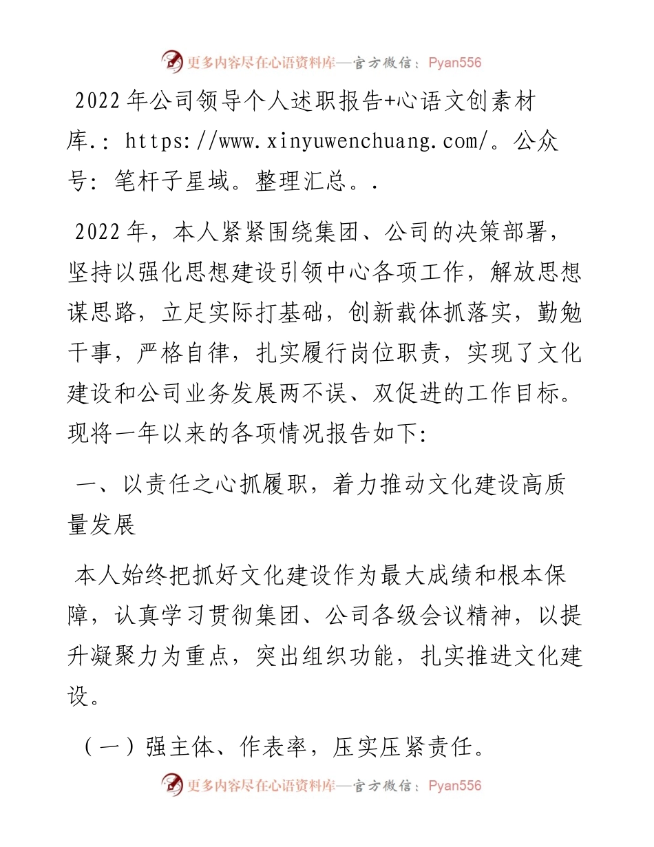公司领导个人述职报告.docx_第1页