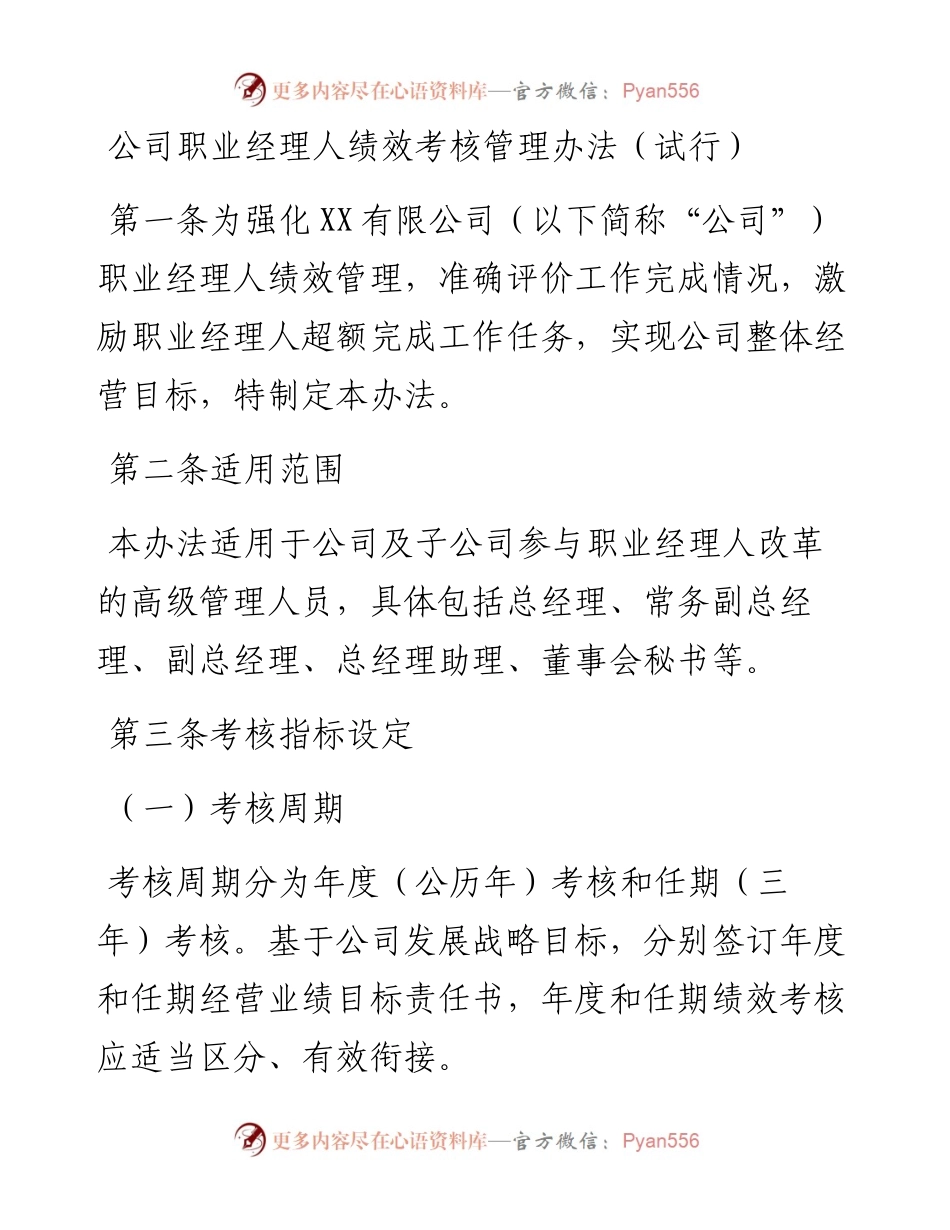 公司职业经理人绩效考核管理办法（试行）.docx_第1页