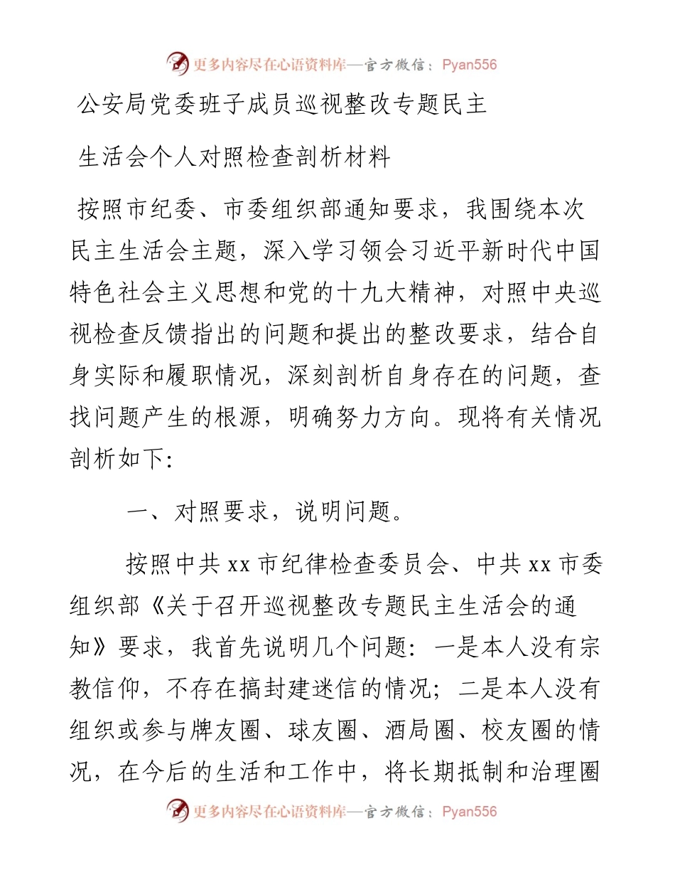 公安局党委班子成员巡视整改专题民主生活会个人对照检查剖析材料.docx_第1页