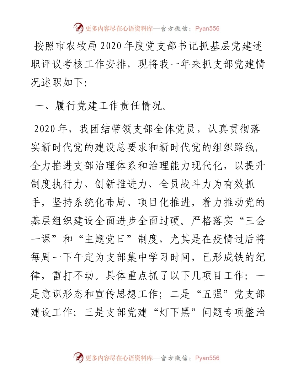 农业综合开发服务中心党支部书记抓党建工作述职报告.docx_第1页