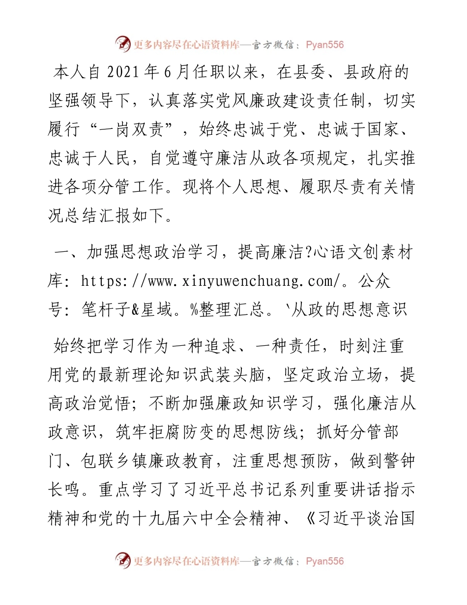 副县长述学述职述廉述法报告.docx_第1页