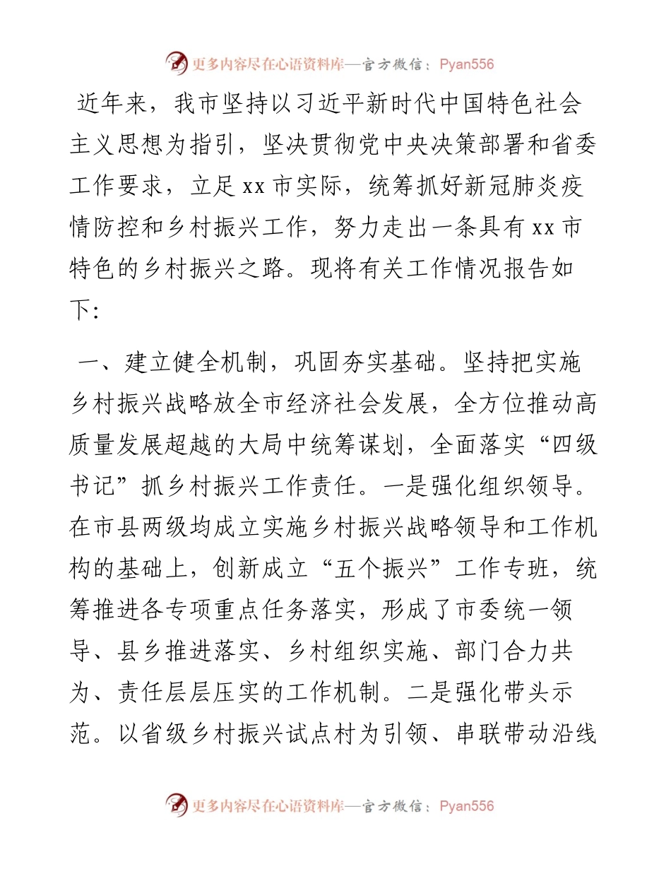 全市实施乡村振兴战略情况报告.docx_第1页