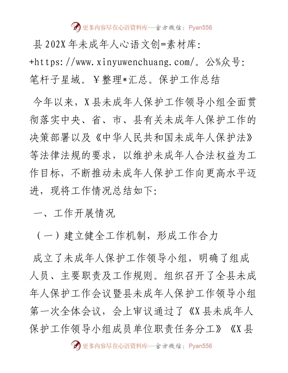 县202X年未成年人保护工作总结.docx_第1页