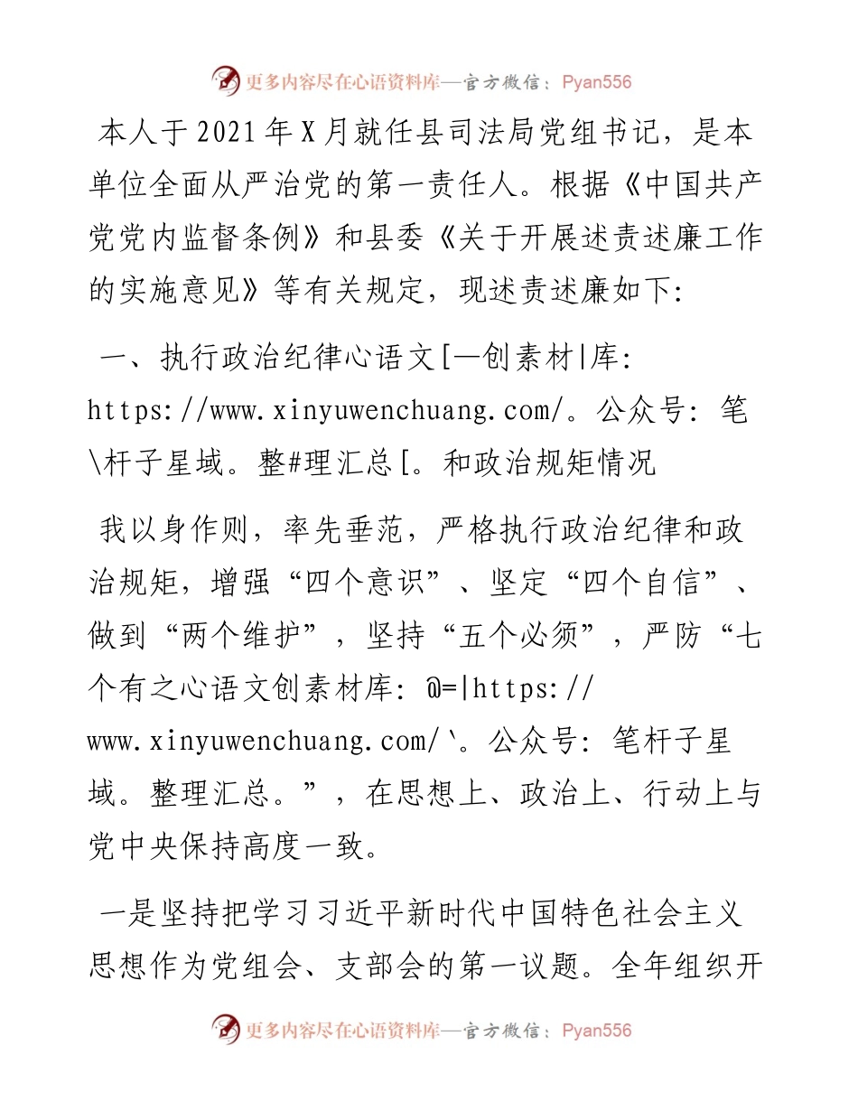 县司法局党组书记述责述廉报告.docx_第1页