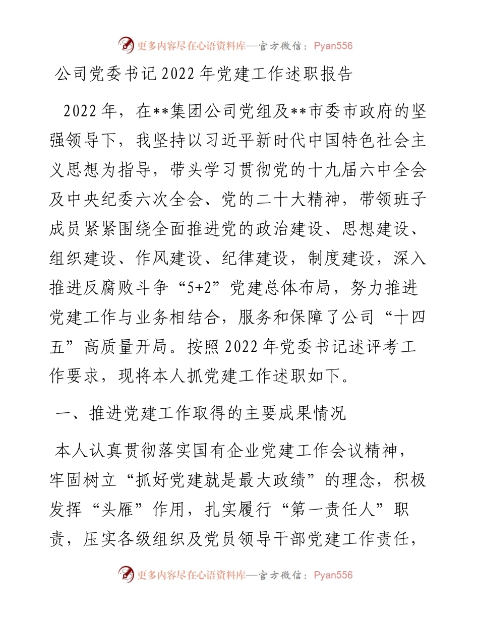 公司党委书记党建工作述职报告.docx_第1页