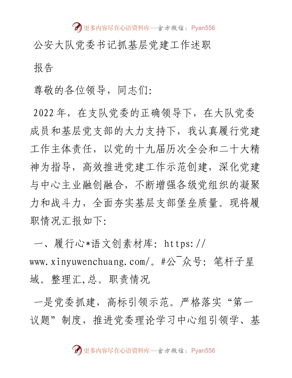 公安大队党委书记抓基层党建工作述职报告.docx_第1页