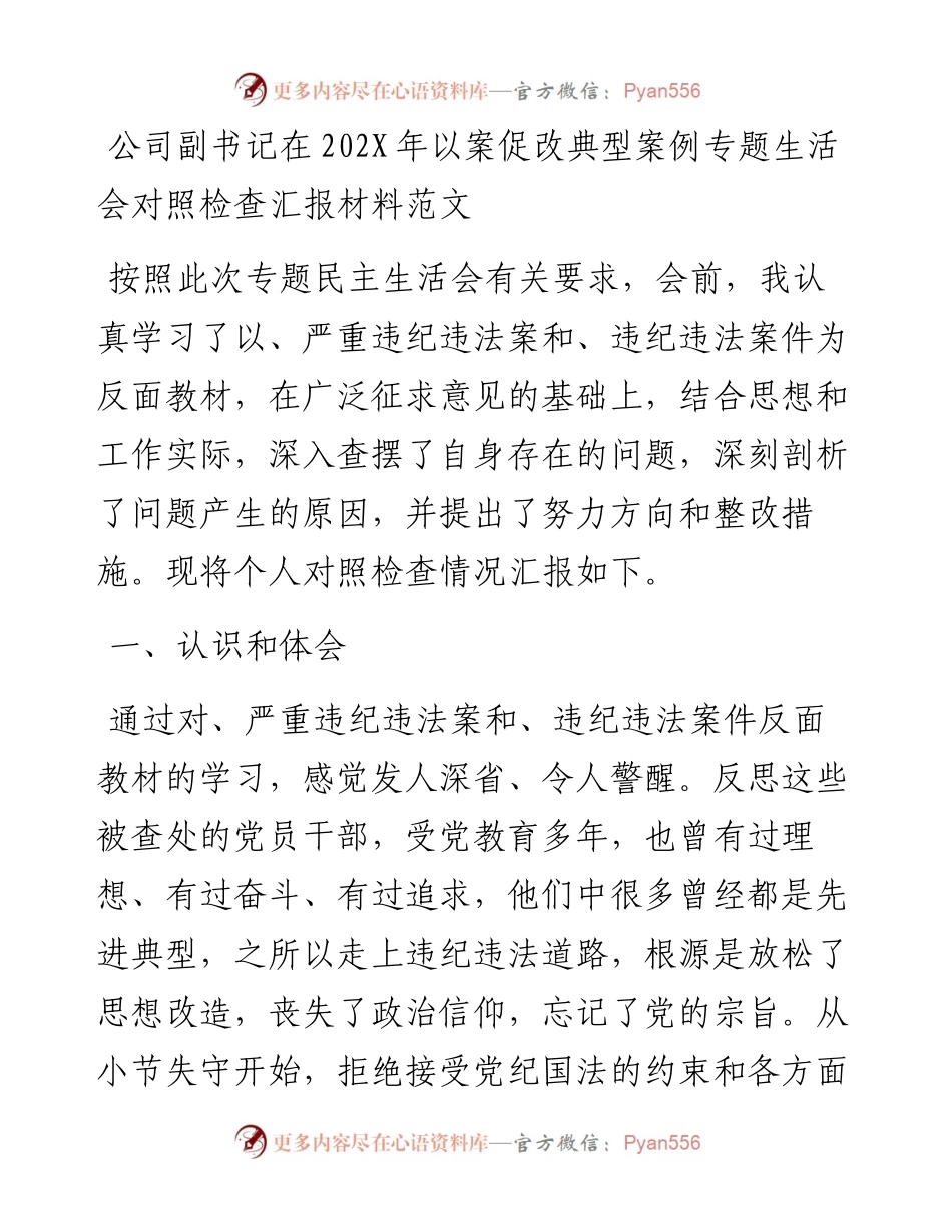 公司副书记在202X年以案促改典型案例专题生活会对照检查汇报材料范文.docx_第1页